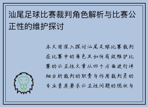 汕尾足球比赛裁判角色解析与比赛公正性的维护探讨