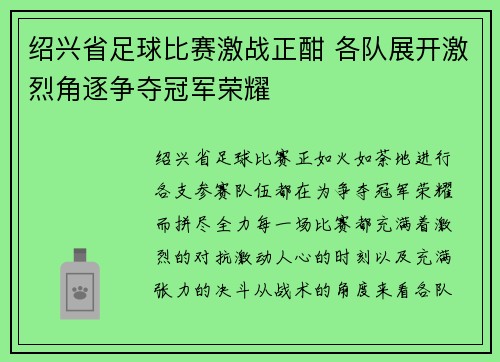 绍兴省足球比赛激战正酣 各队展开激烈角逐争夺冠军荣耀