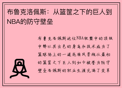 布鲁克洛佩斯：从篮筐之下的巨人到NBA的防守壁垒