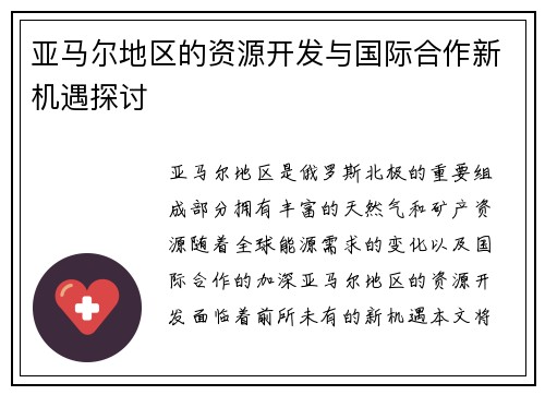 亚马尔地区的资源开发与国际合作新机遇探讨