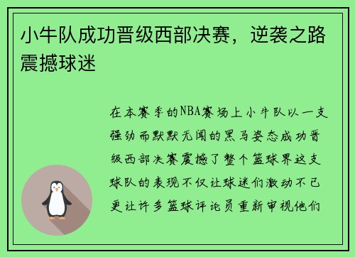 小牛队成功晋级西部决赛，逆袭之路震撼球迷