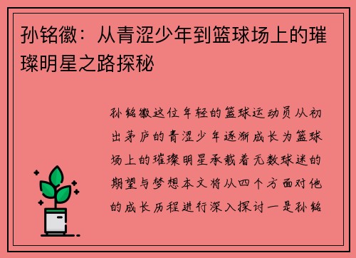 孙铭徽：从青涩少年到篮球场上的璀璨明星之路探秘