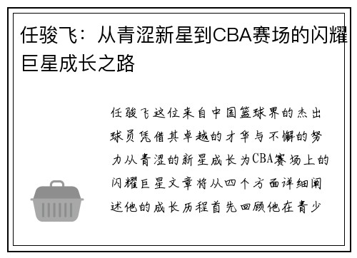 任骏飞：从青涩新星到CBA赛场的闪耀巨星成长之路